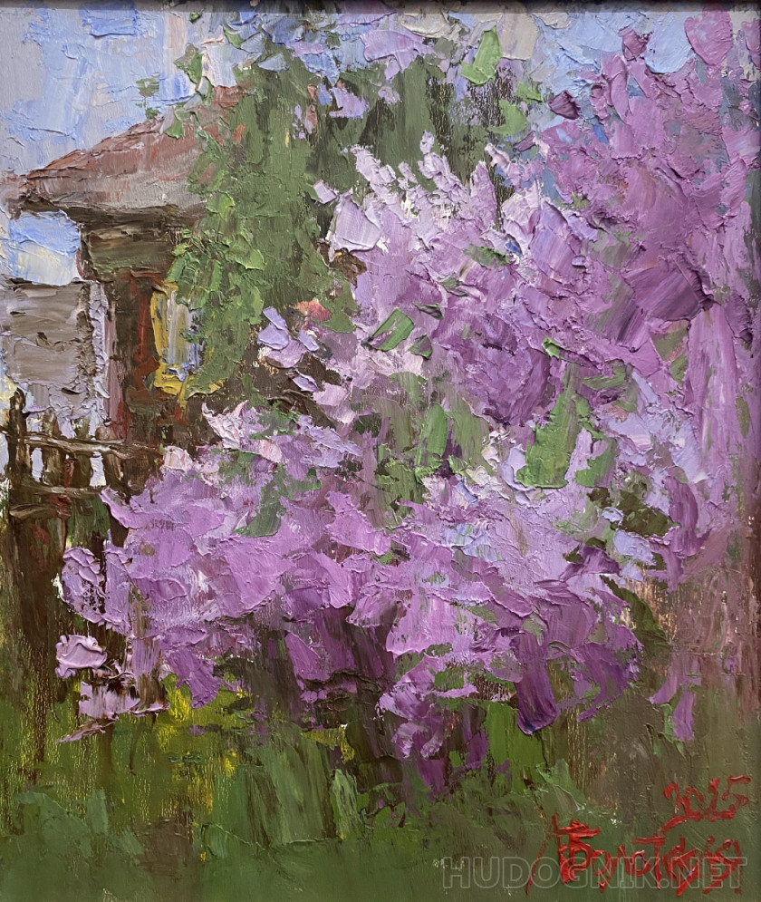 Сирень