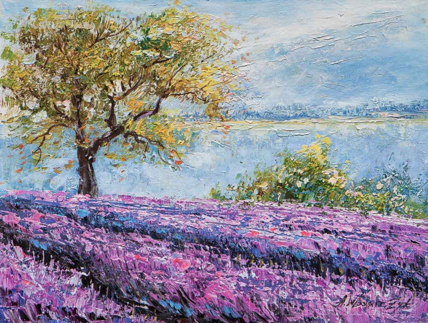 Niebla matutina sobre un campo de lavanda