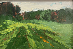 En los campos de Vladimir