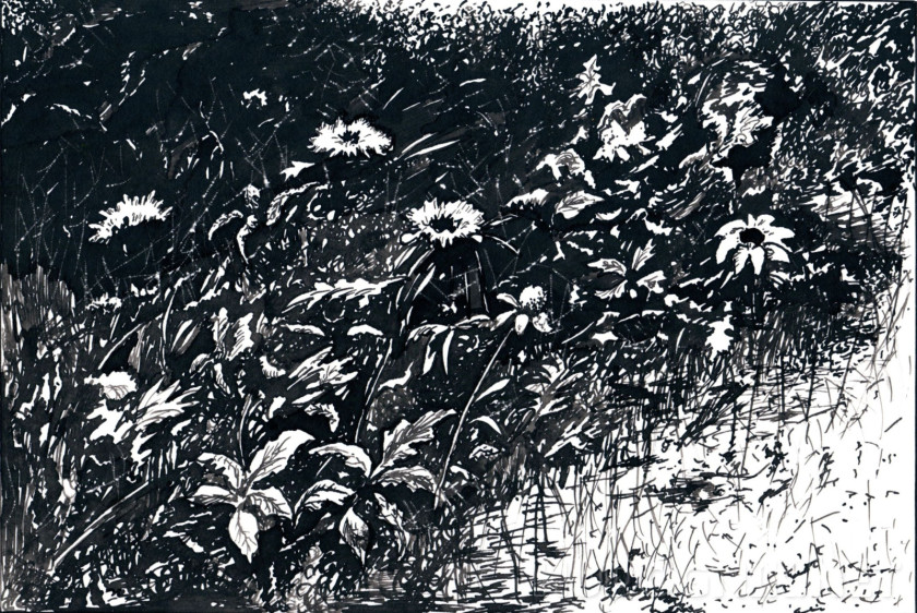 The Summer Carnival