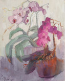 Orchids. Double portrait