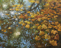Autumn on the water