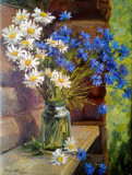 Cornflowers-daisies