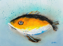 The Fish