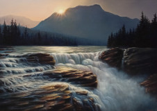 Harmony of nature