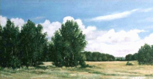 Among the fields. August