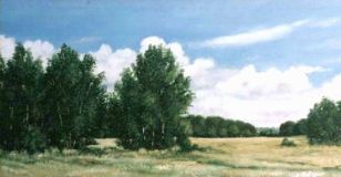Among the fields. August