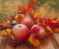 Драгоценности осени. Яблоки и рябина