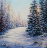 A walk in the winter forest