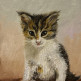 Котенок