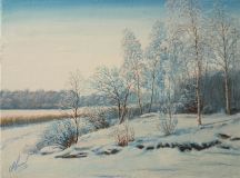 Морозный день на берегу