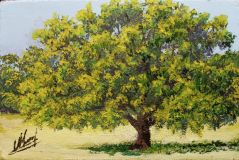 Дуб на поляне парка