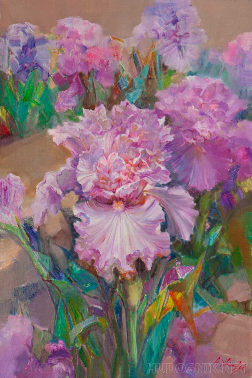 Ирисы. Музыка лета