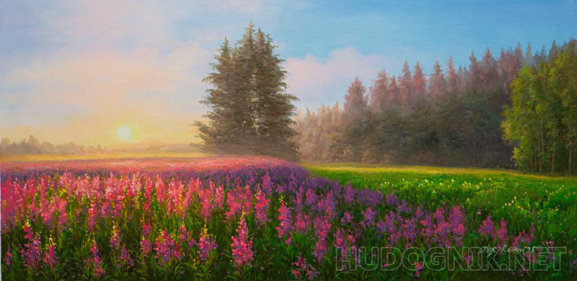 Там, где цветет иван-чай