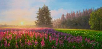 Там, где цветет иван-чай