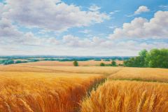 Богатство родной земли