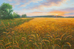 Native expanses. Amber evening