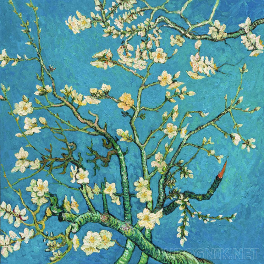 (копия) Ван Гога Цветущие ветки миндаля, 1885