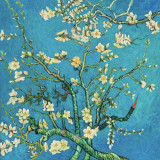 (копия) Ван Гога Цветущие ветки миндаля, 1885