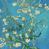 (копия) Ван Гога Цветущие ветки миндаля, 1885