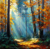 Autumn light in the depths of the forest
