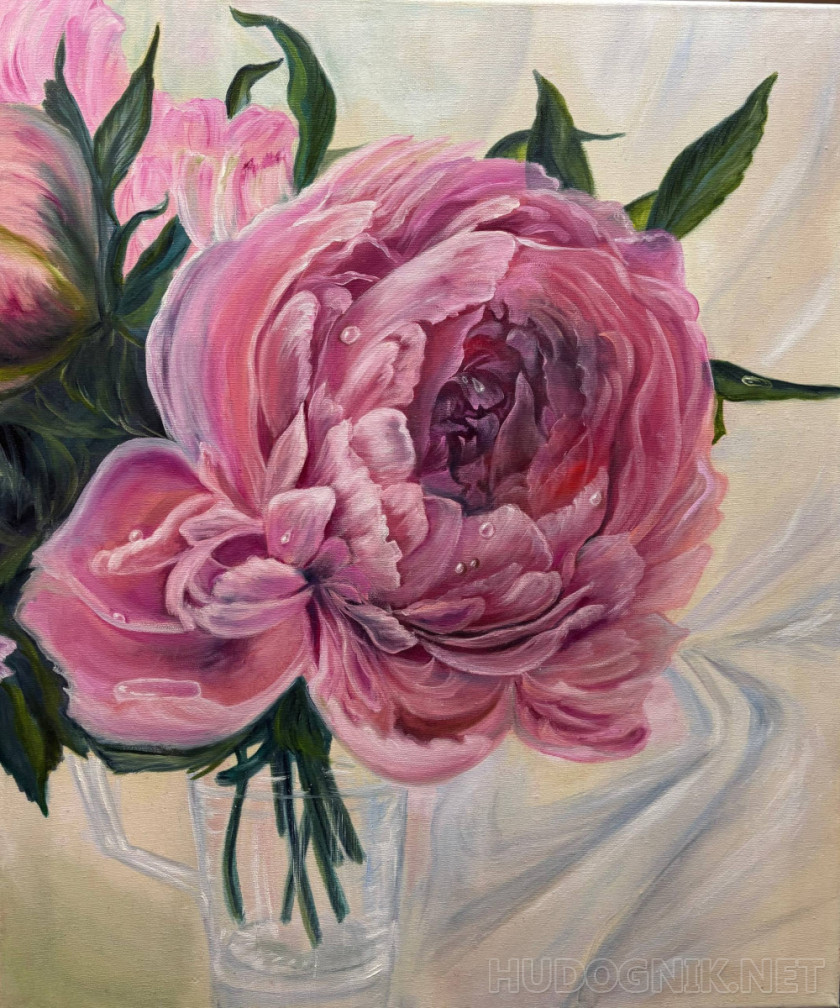 Розовая пионовая симфония