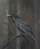 Тёмный вестник