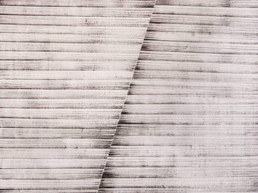 Estudios de la vida supramental. Estudio tres