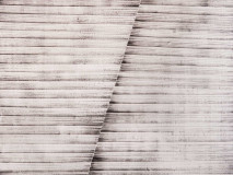 Etudes of Supramental Life. Etude Three