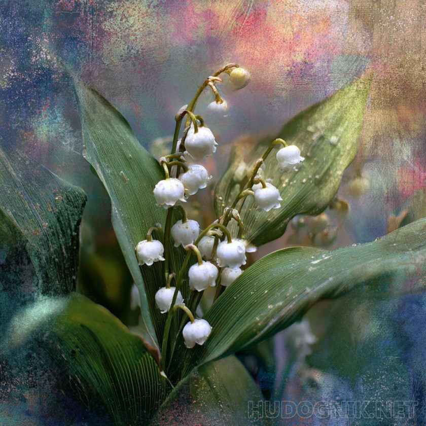 White bells of May