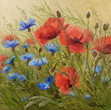 Poppies and cornflowers
