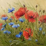 Poppies and cornflowers