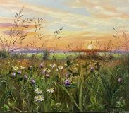 Sunset over the field