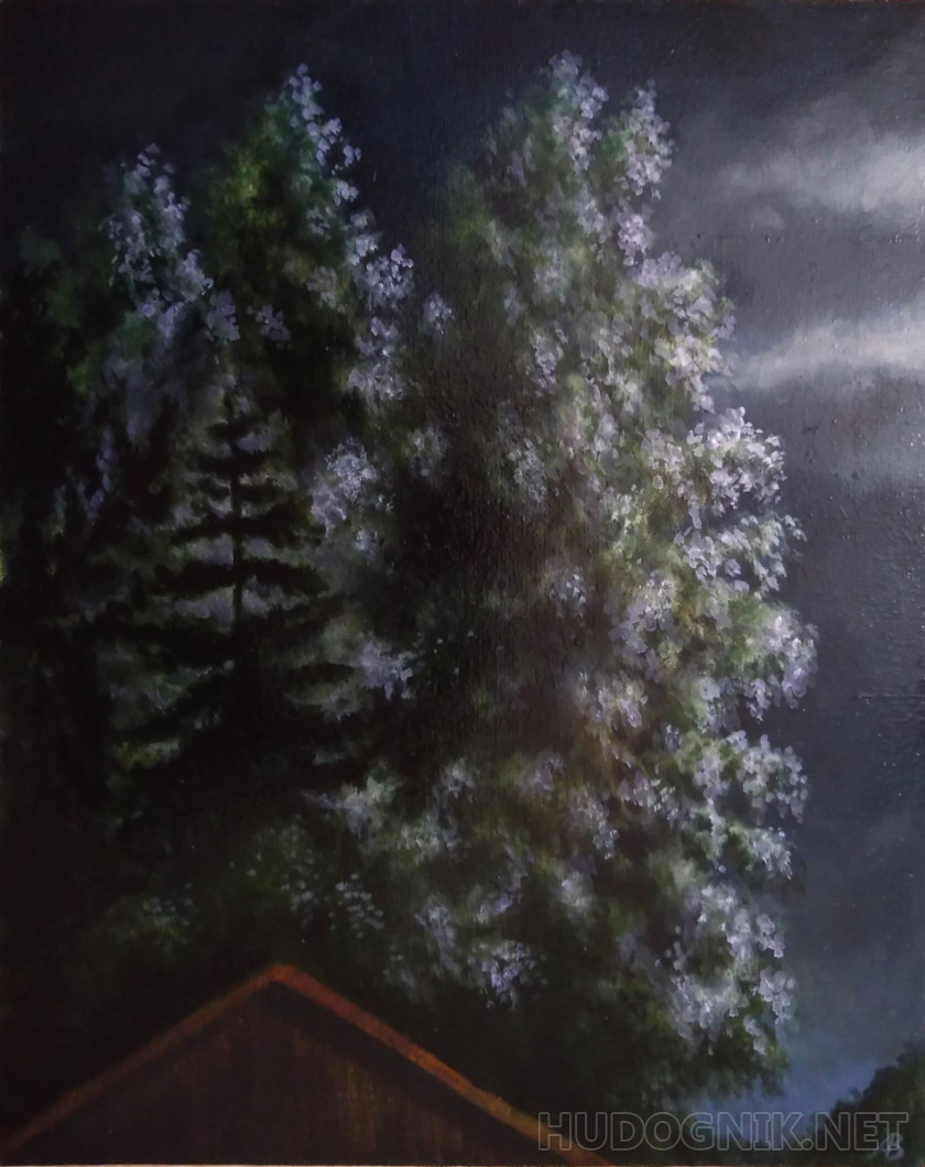 Стояла ночь, и пели соловьи