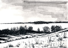 Среди зимы 29