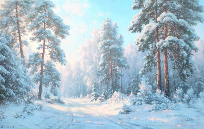 Winter in the forest