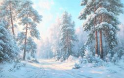 Winter in the forest