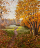 Золотая осень