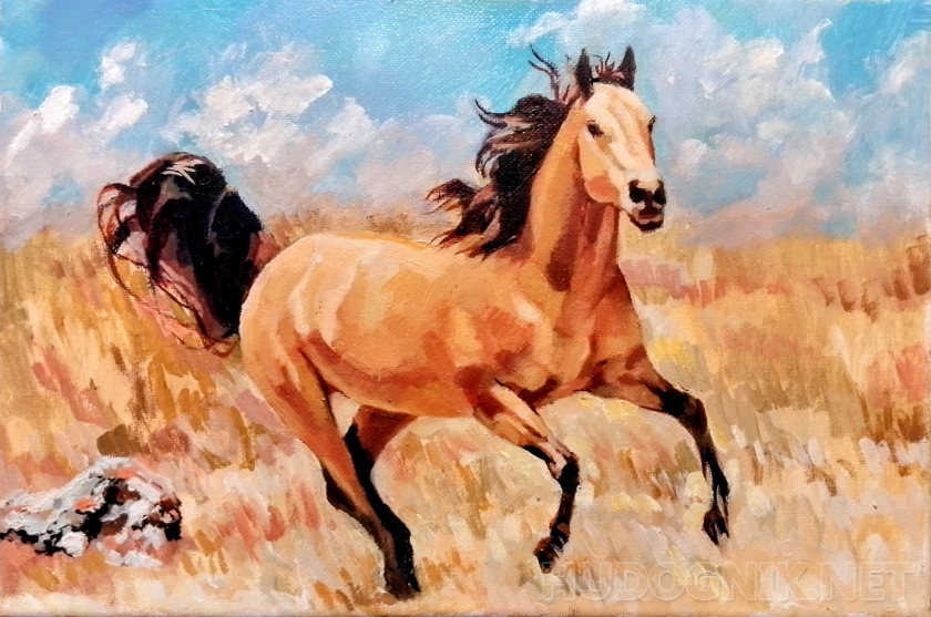 Степные просторы