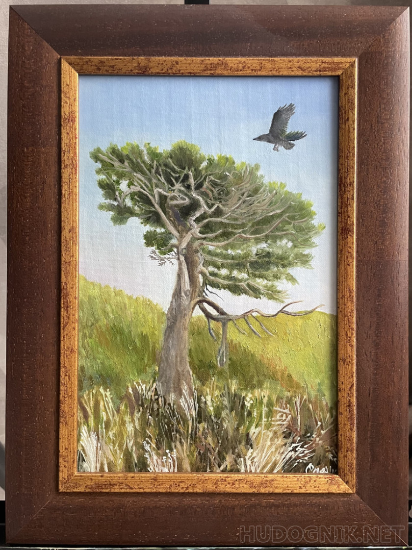 Курильские мотивы #1