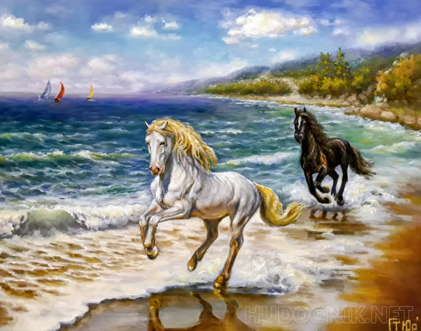 The White Horse and the Black