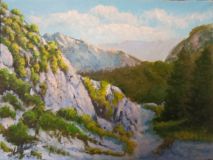 Алтай. Тропка в горах