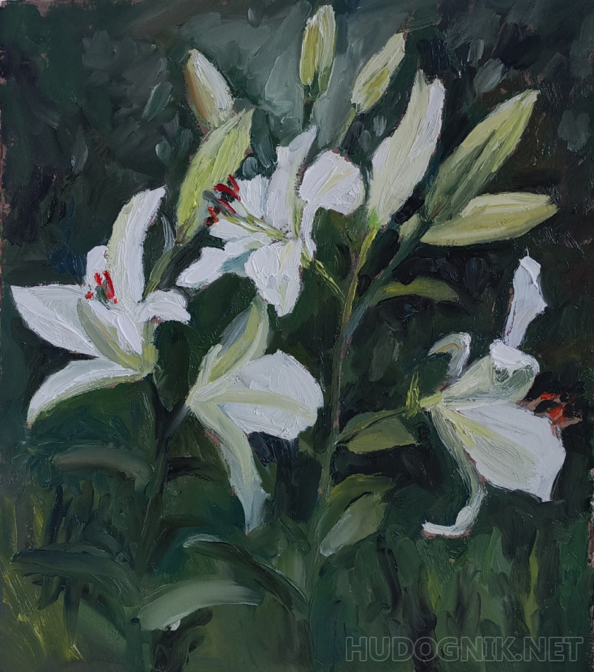 Белые лилии