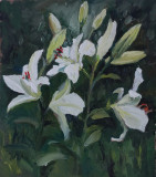 Белые лилии