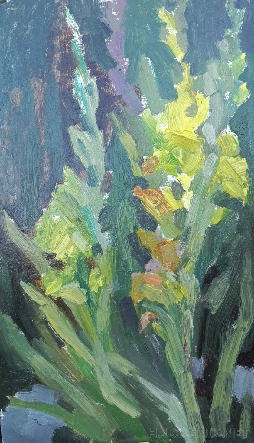 Гладиолусы