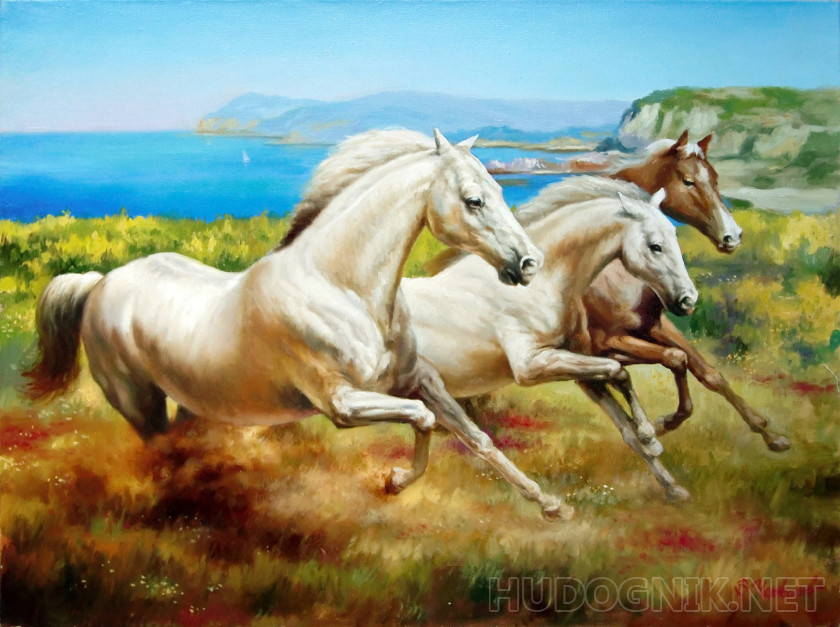 На вольном просторе