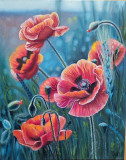 Poppies