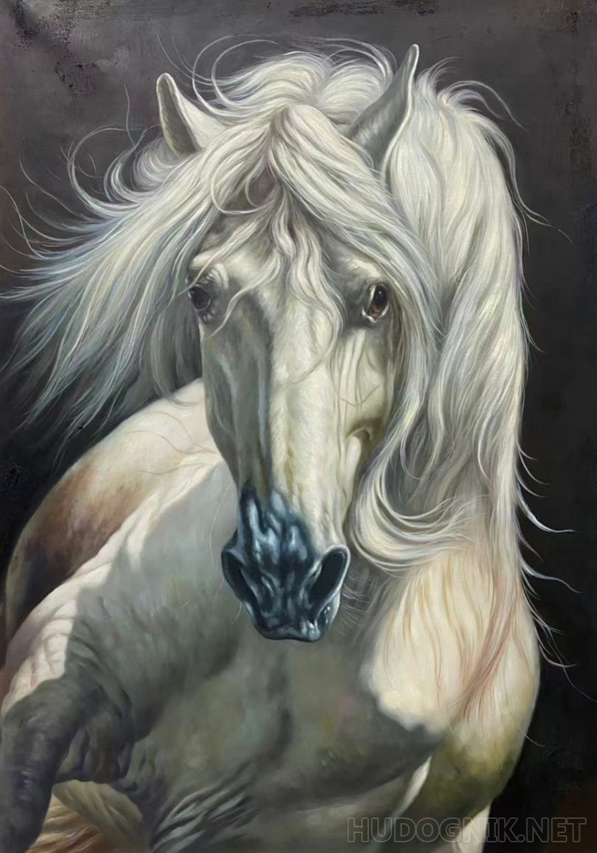 Caballo. Atrapando el fabuloso viento con mi melena