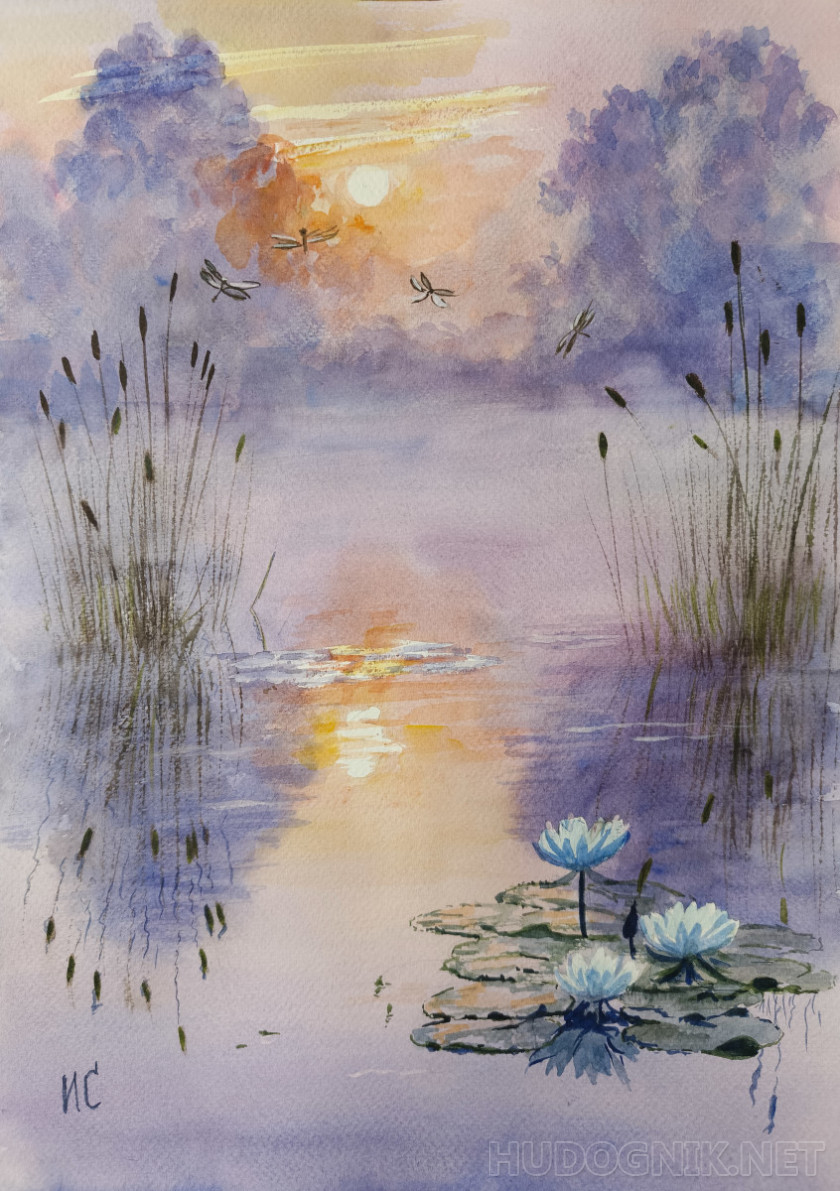 Туманный закат со стрекозами