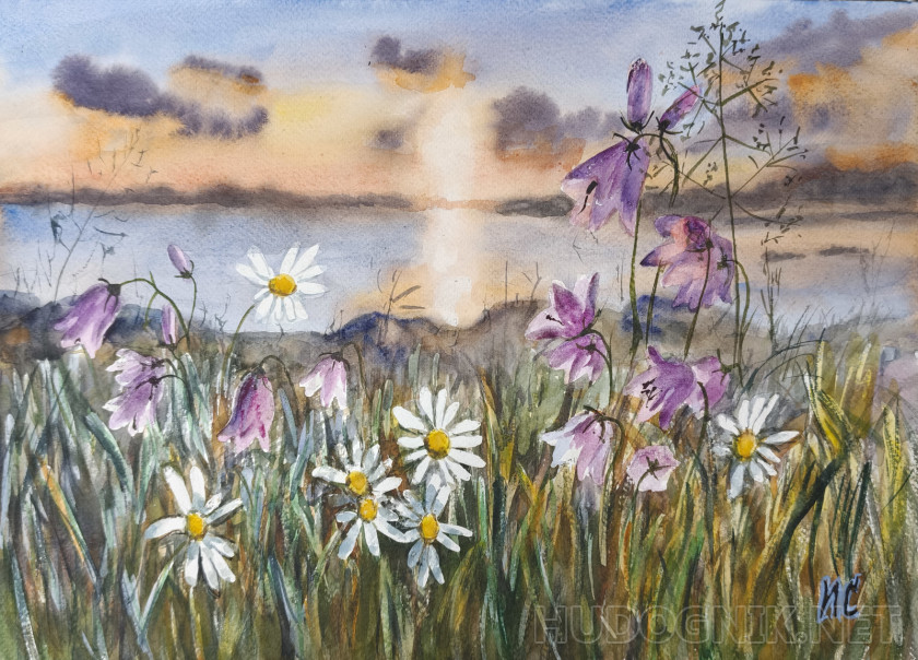 Пейзаж с колокольчиками и ромашками на закате